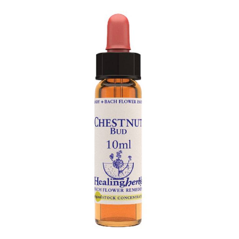BACH CENTER ESS HOLLY 20ML