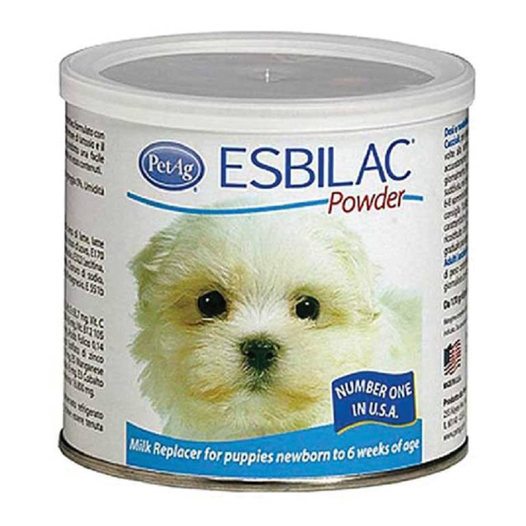 ESBILAC POWDER REPLACER 170G